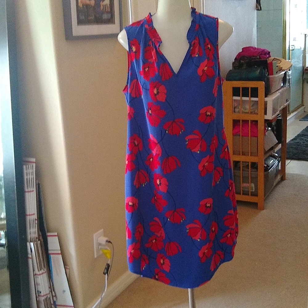 Market and Spruce Jeanie Ruffle Blue Red Poppy Sleeveless Mini Dress Size Medium